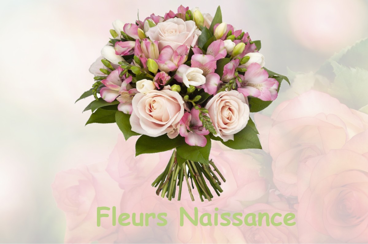 fleurs naissance SAINT-LUMINE-DE-CLISSON