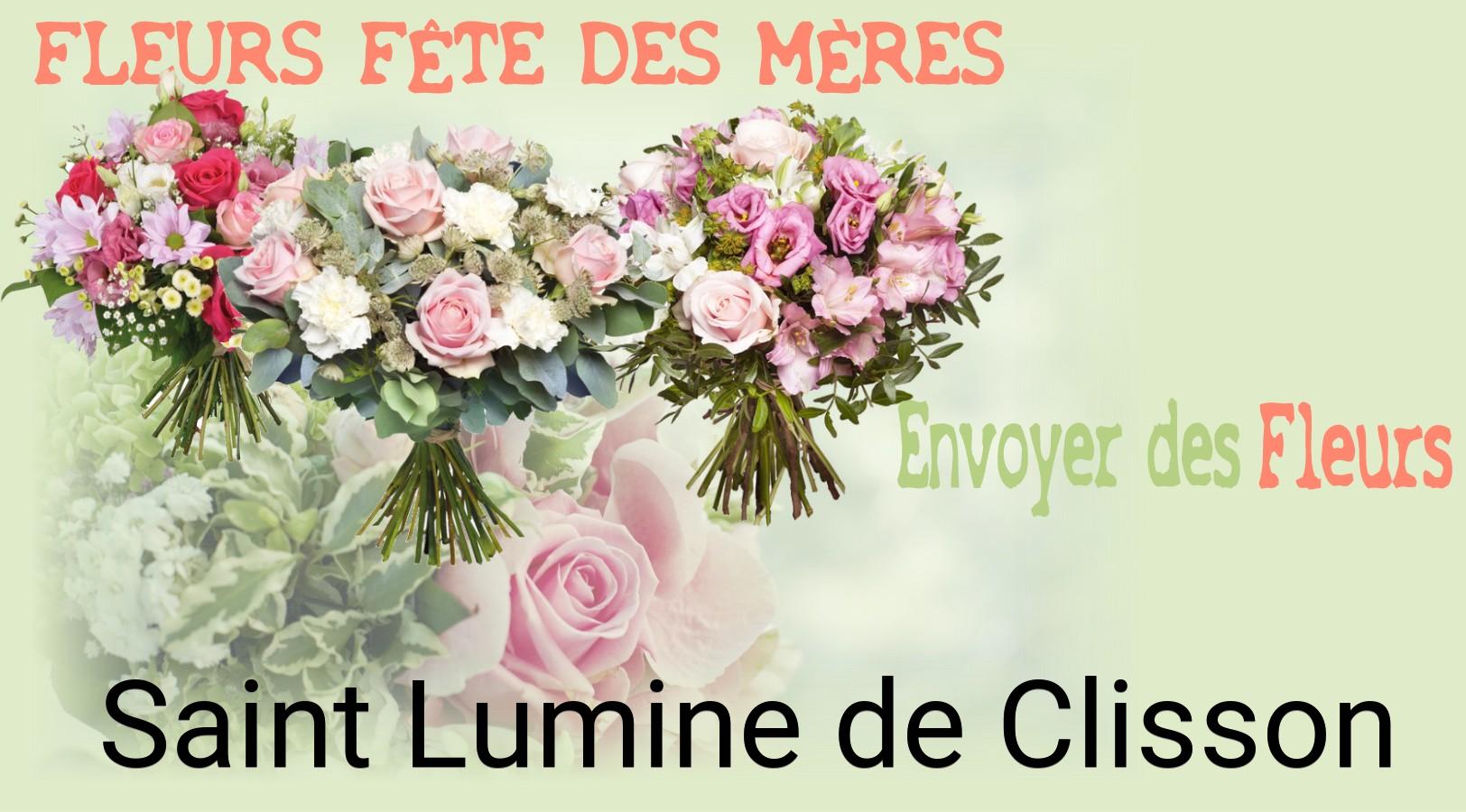 Bouquet de Fête des Mères livré à Saint-Lumine-de-Clisson